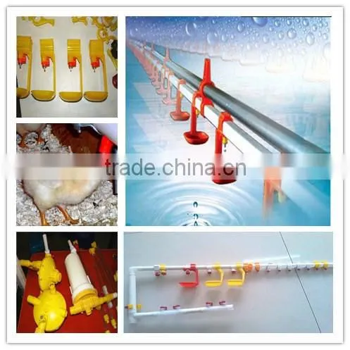 Broiler feeder/chick farming house