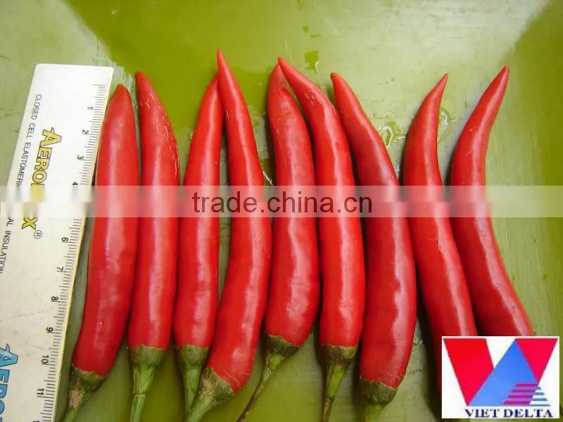 Fresh red big chili