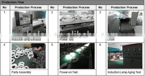 Alibaba China IP65 induction explosion proof flood light