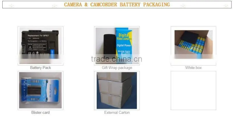hidden camera battery Digital camera battery for Canon NB4L compact camera bag