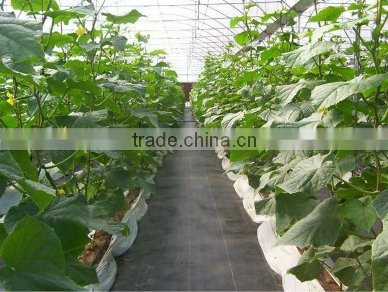 PP Woven Ground Cover