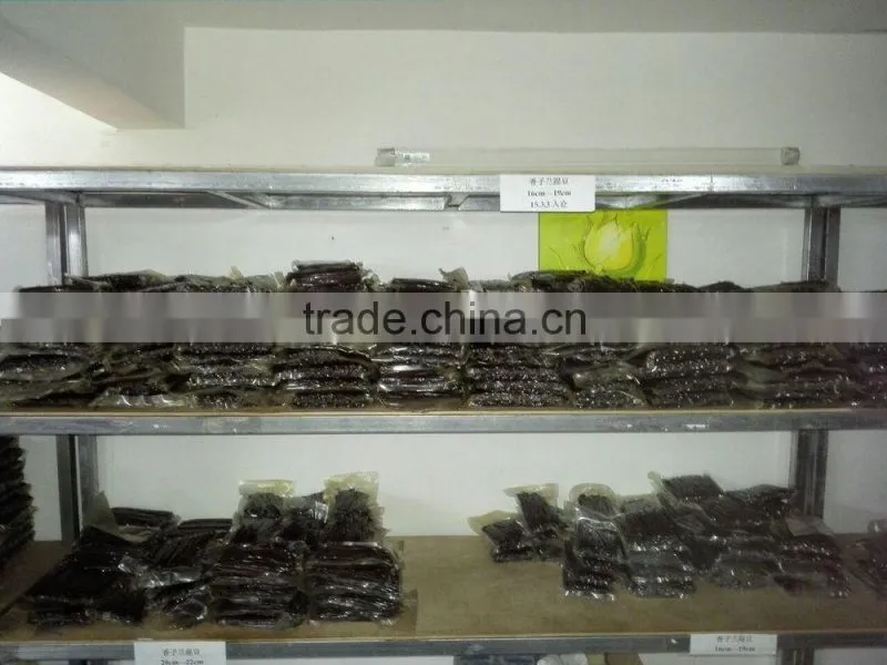 21-22cm Real Madagascar Black Vanilla Bean
