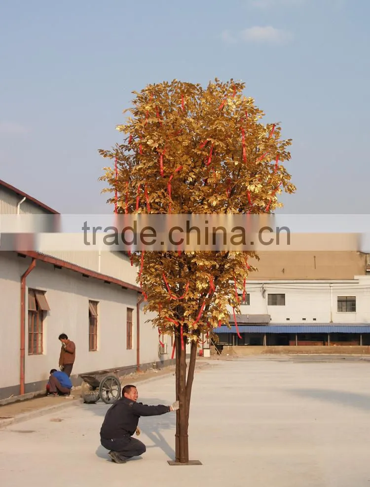 Christmas decoration ficus tree