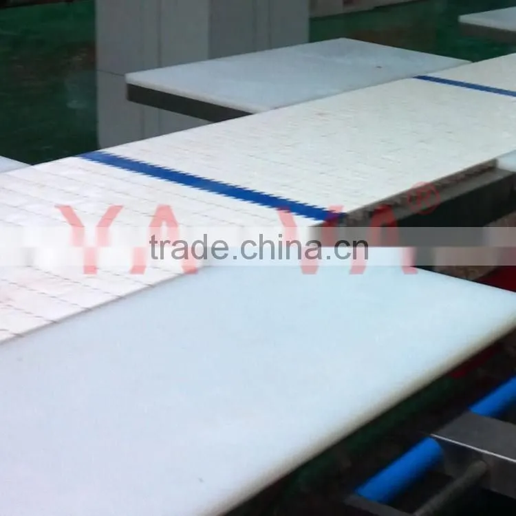 Plastic Modular Belt Manufacuturer in China