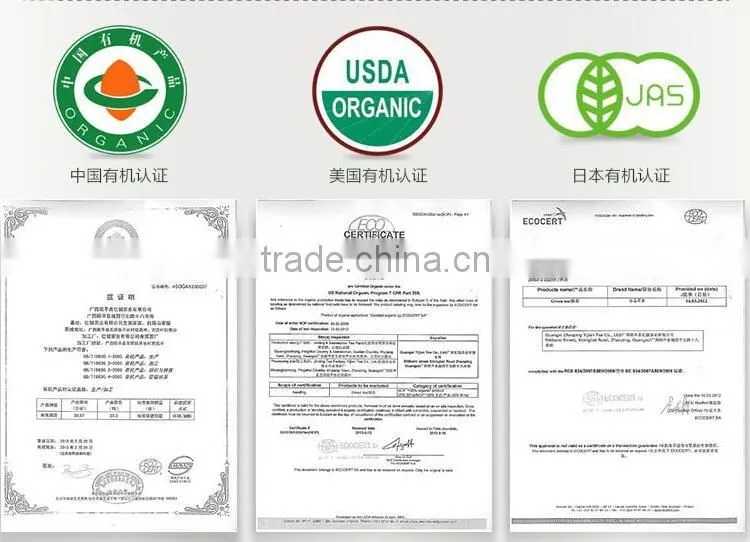 Yihealth Organic Green Tea TJ-GP with JAS Certificate