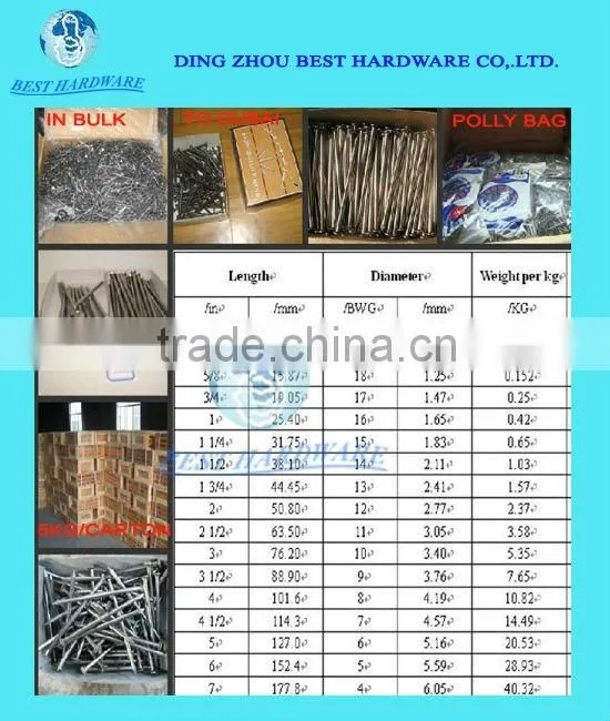 polished common nail round iron flat head
