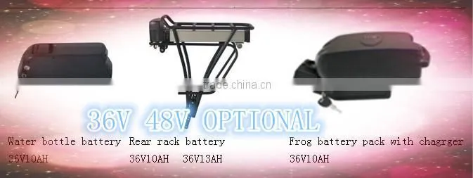 rear wheel cheap electric bike kit with battery