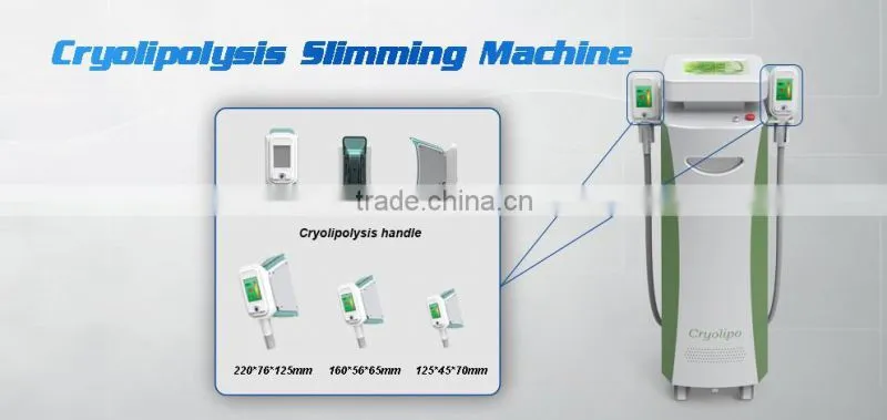 2 handpiece vacuum cryotherapy Fat freezing Machine