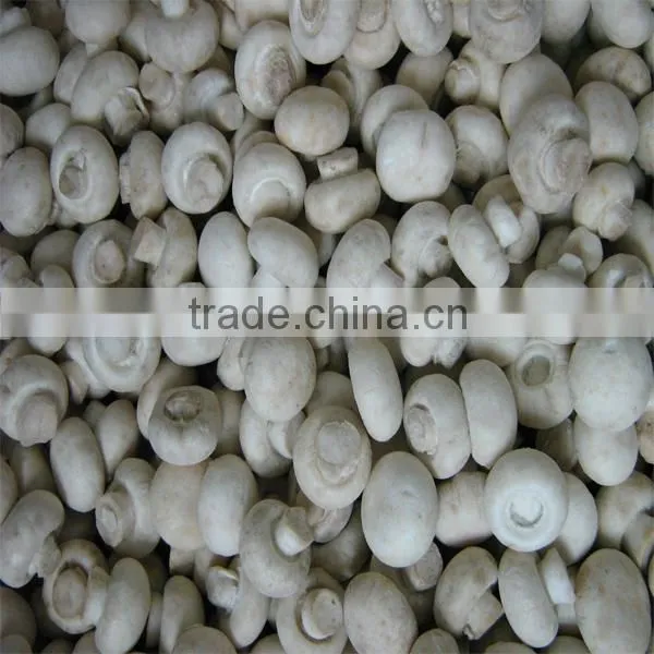 Frozen white champignon mushroom slice from China