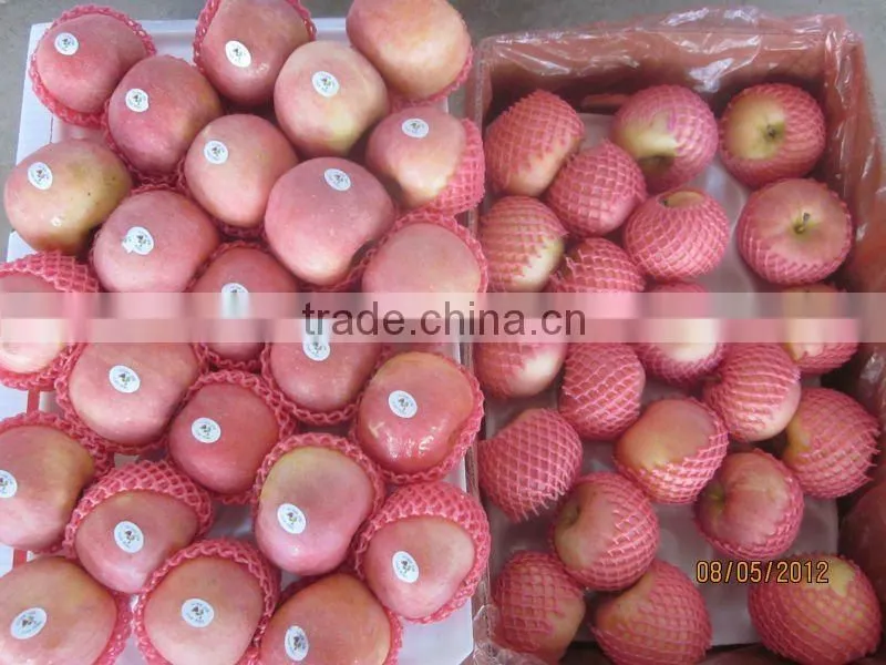 Chinese Fresh Fuji Apple NEW HOT!!