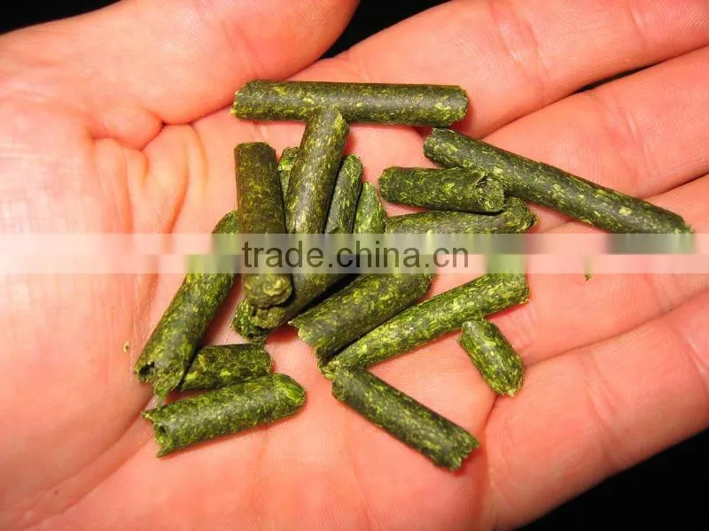 Spain High Quality and Best Quality Dirty Wool
