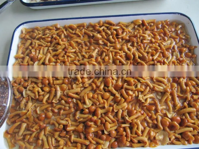 Nameko in brine