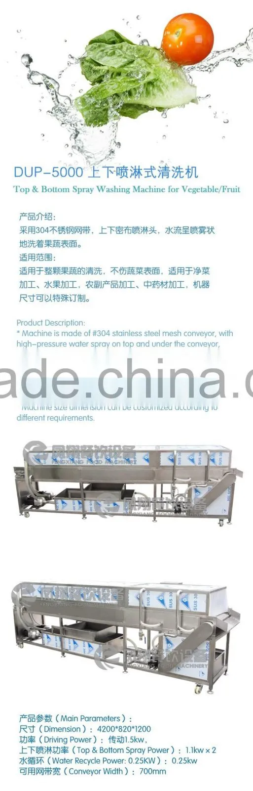 DUP-5000 Industrial Top and Bottom Spray Vegetable and Fruit Washing Cleaning Machine