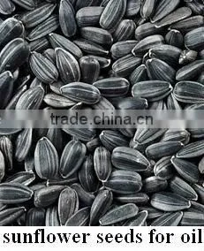 Pumpkin seed Kernels Grow without Shell