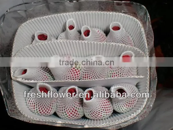 Wholesale fresh cut flowers of black rose from kunming