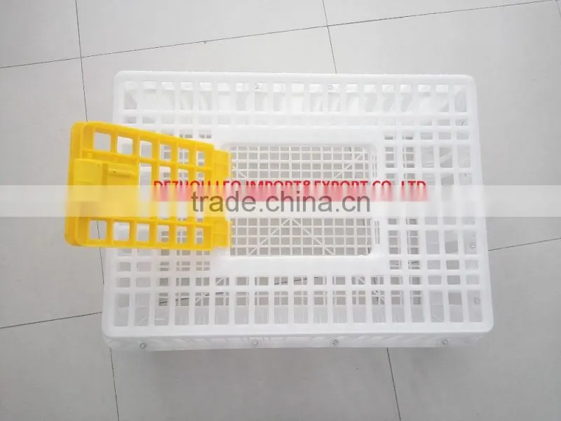 cheapest plastic chicken transport crate for sale