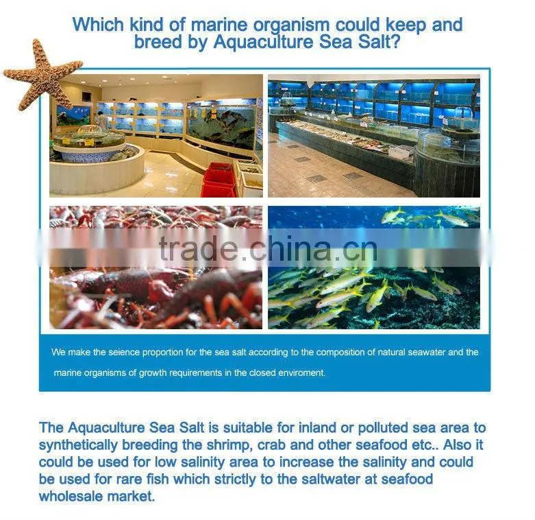 Aquaculture /Lobster Sea Salt For Lobster Tank