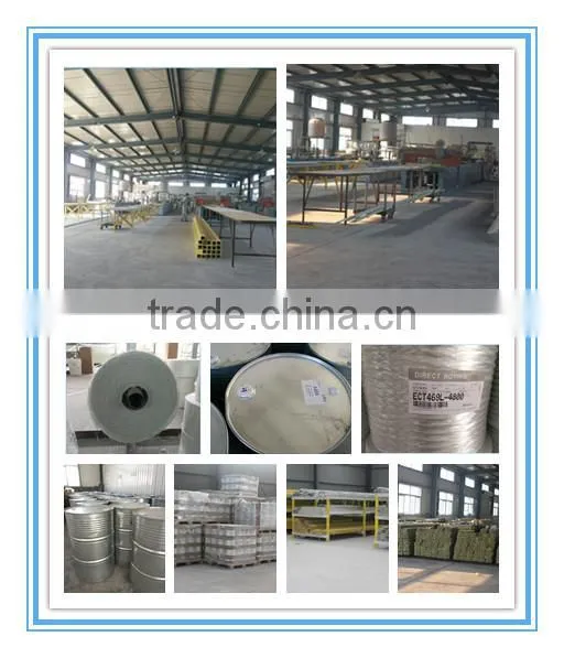 Factory produced different kinds different styles frp ladders