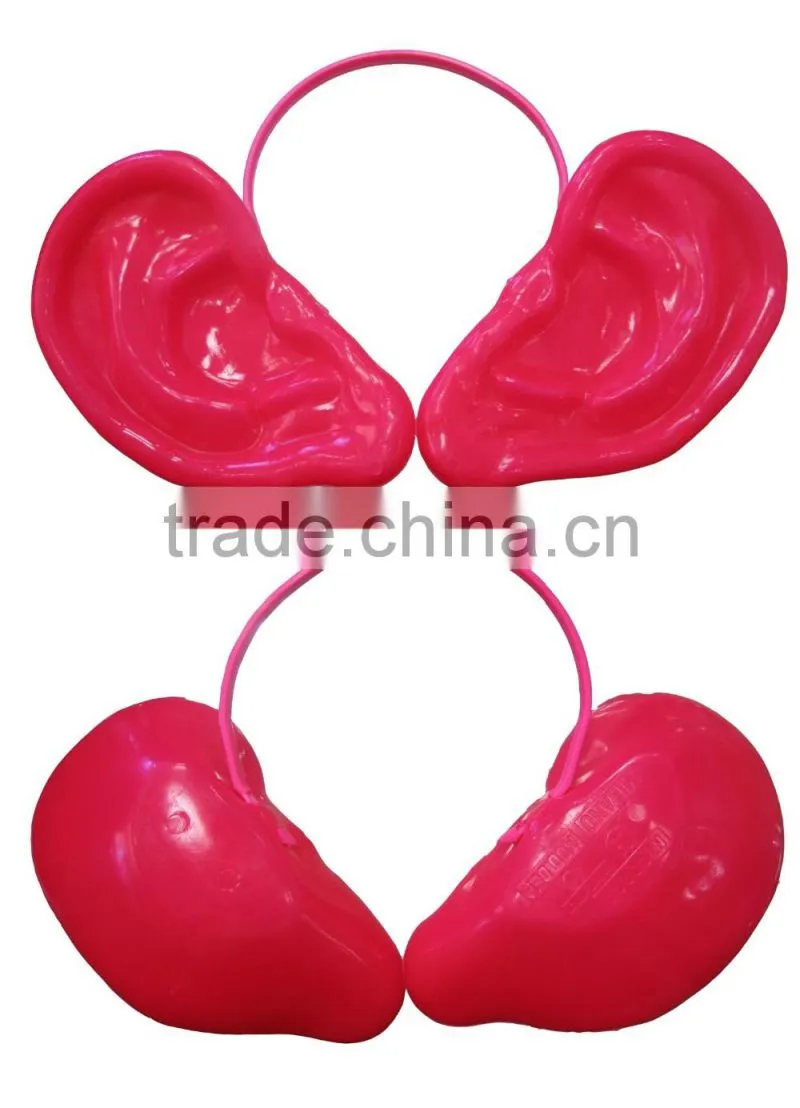 OEM anatomical cardiopulmonary model/anatomical model/teeth model/eyes model/plastic organ model