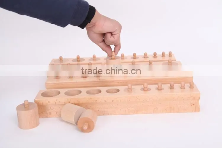 Teaching AIDS Wooden educational toys montessori Cylinders blocks