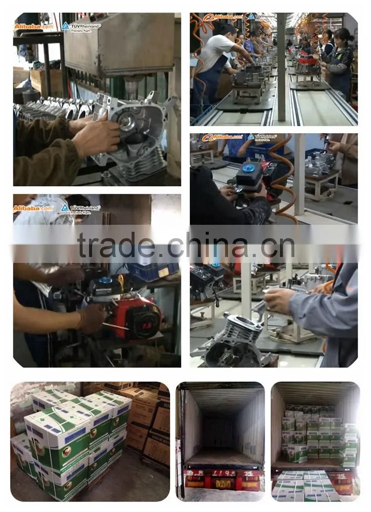 China Reliable Quality easy start 5.5hp engines