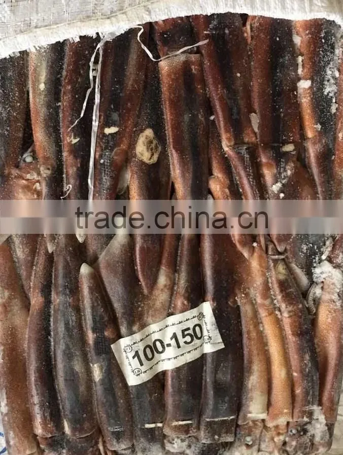 squid hook of illex squid