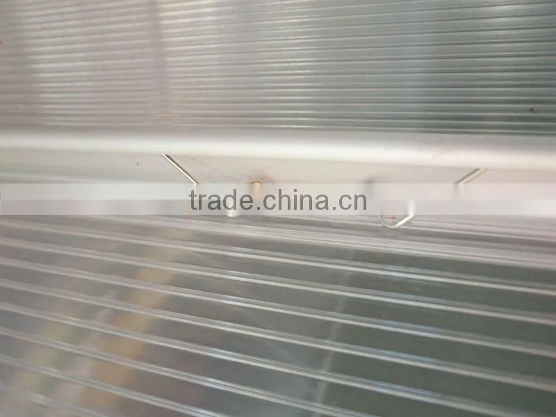 G1001D 6X10FT aluminum greenhouse