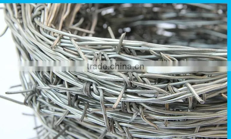 cheap price electro/hot dipped galvanized barbed wire