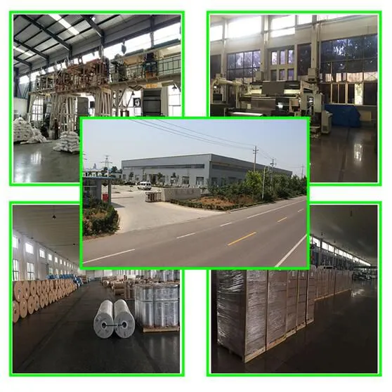 Shandong YiXin Packing Materials Co.,Ltd company overview - view 1
