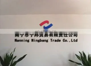 Nanning Ningbang Inflatable Manufacture Co., Ltd. company overview - view 1