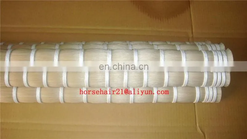 Mongolia horse tail hair