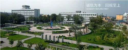 Chalco Shandong Co., Ltd company overview - view 2