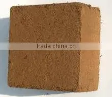 WASHED COCOPEAT
