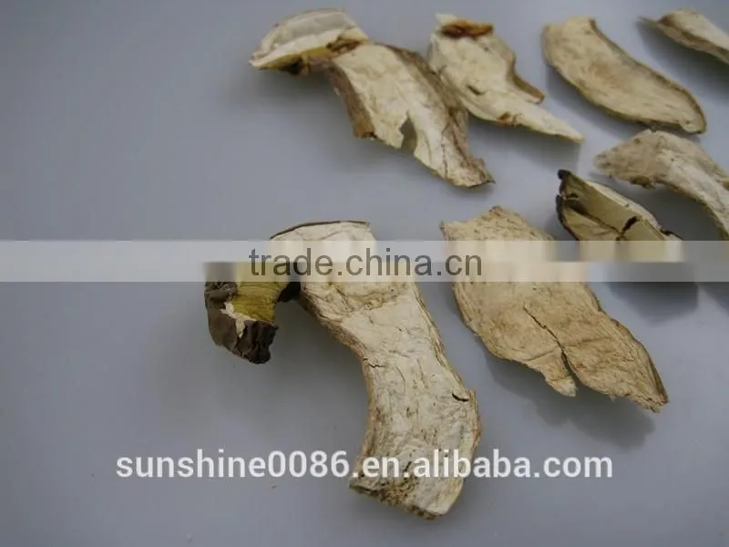 High Quality High Quality Dried Boletus Mushroom in Yunnan