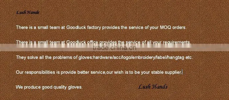 Ladies wearing spring thin long wool gloves