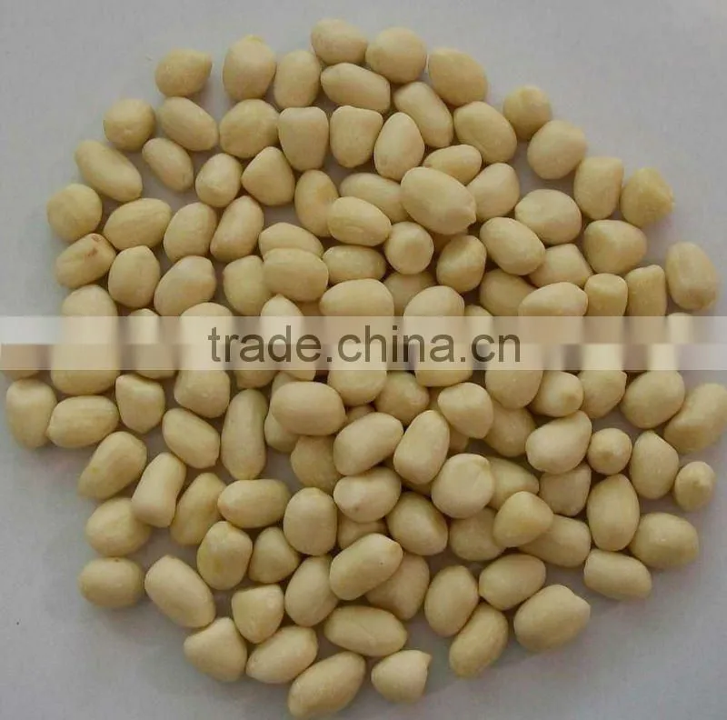 Blanched Peanut Kernels