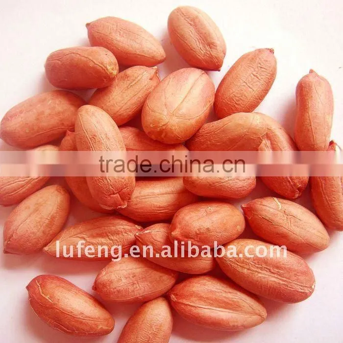 Fresh 2012 Chinese Ground Peanut In Shell