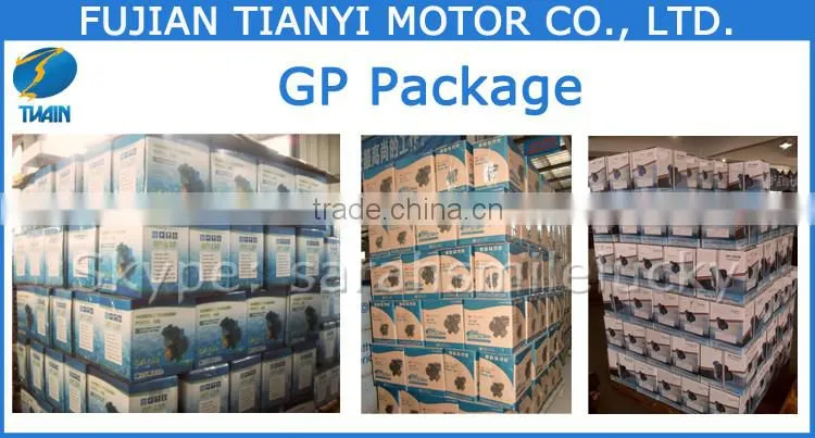 GP200 0.32HP Wate Pump