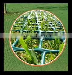 Protected Netting| Fence in Landscape Engineering from China