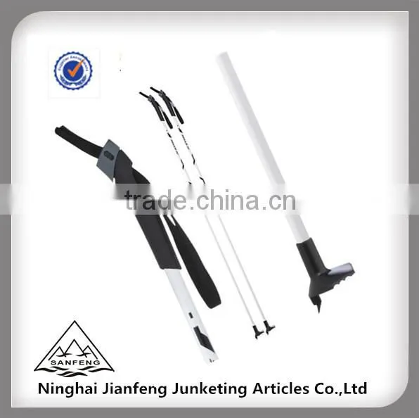 Direct Factory Export Carbon Ski Pole With GS Certificate