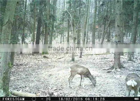 12MP Scouting Hunting Camera HD GPRS MMS Digital Infrared Trail camera GSM IR LED With Wireless Remote Control