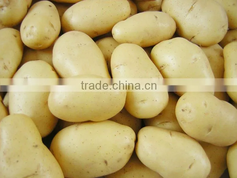 FRESH POTATO