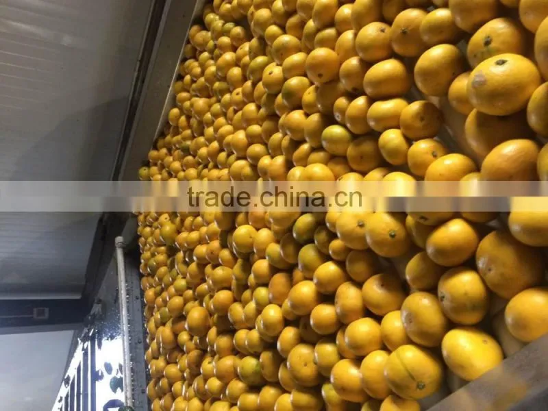 names of fruit products mandarin orang with complete price