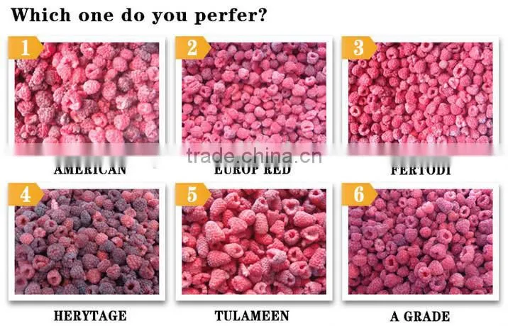 Frozen Raspberry best selling frozen fruits