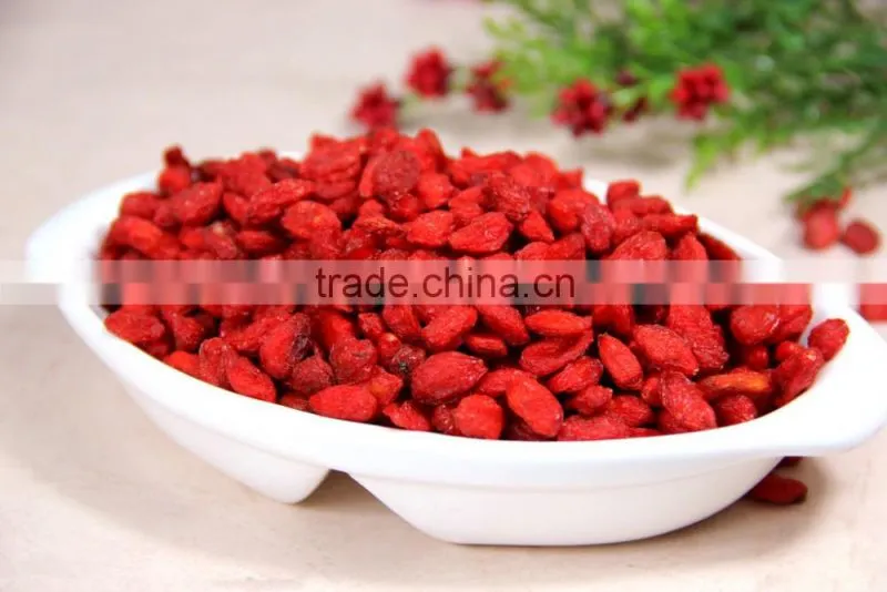 Lycium barbarum goji berry dried medlar low price