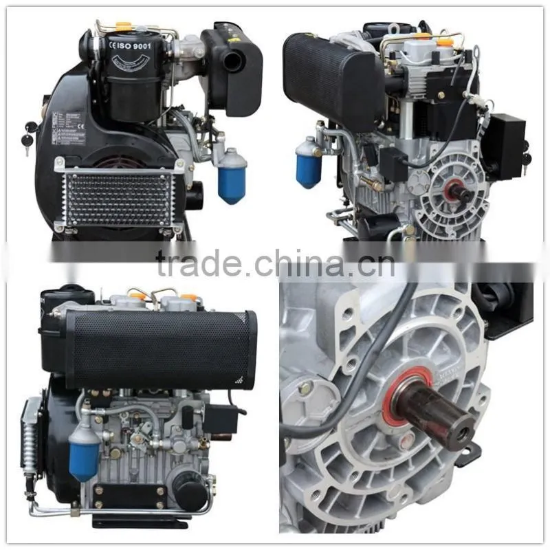 Hot!! Double Cylinder Diesel Engines 20hp