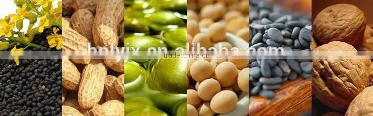 best sales hydraulic vegetable oil press machine from Zhengzhou