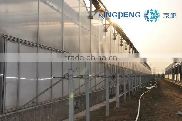 Flower Growing Polycarbonate Greenhouse