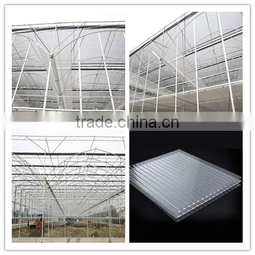 Multi-Span Type and Large Size PC Sheet Commercial Greenhouse