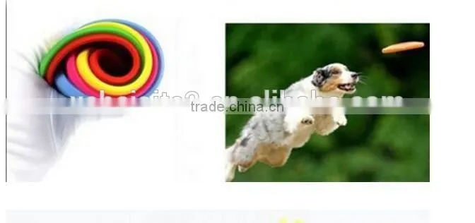CY186 Fantastic Pet Dog Flying Disc Tooth Resistant Training Toy Play Frisbee Tide